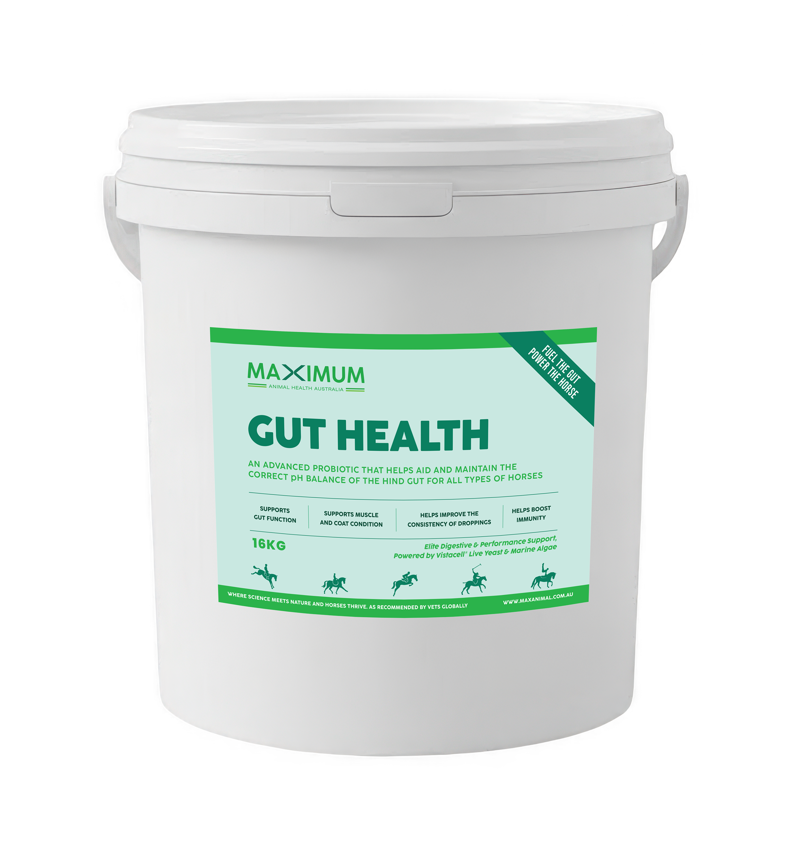 Maximum Gut Health