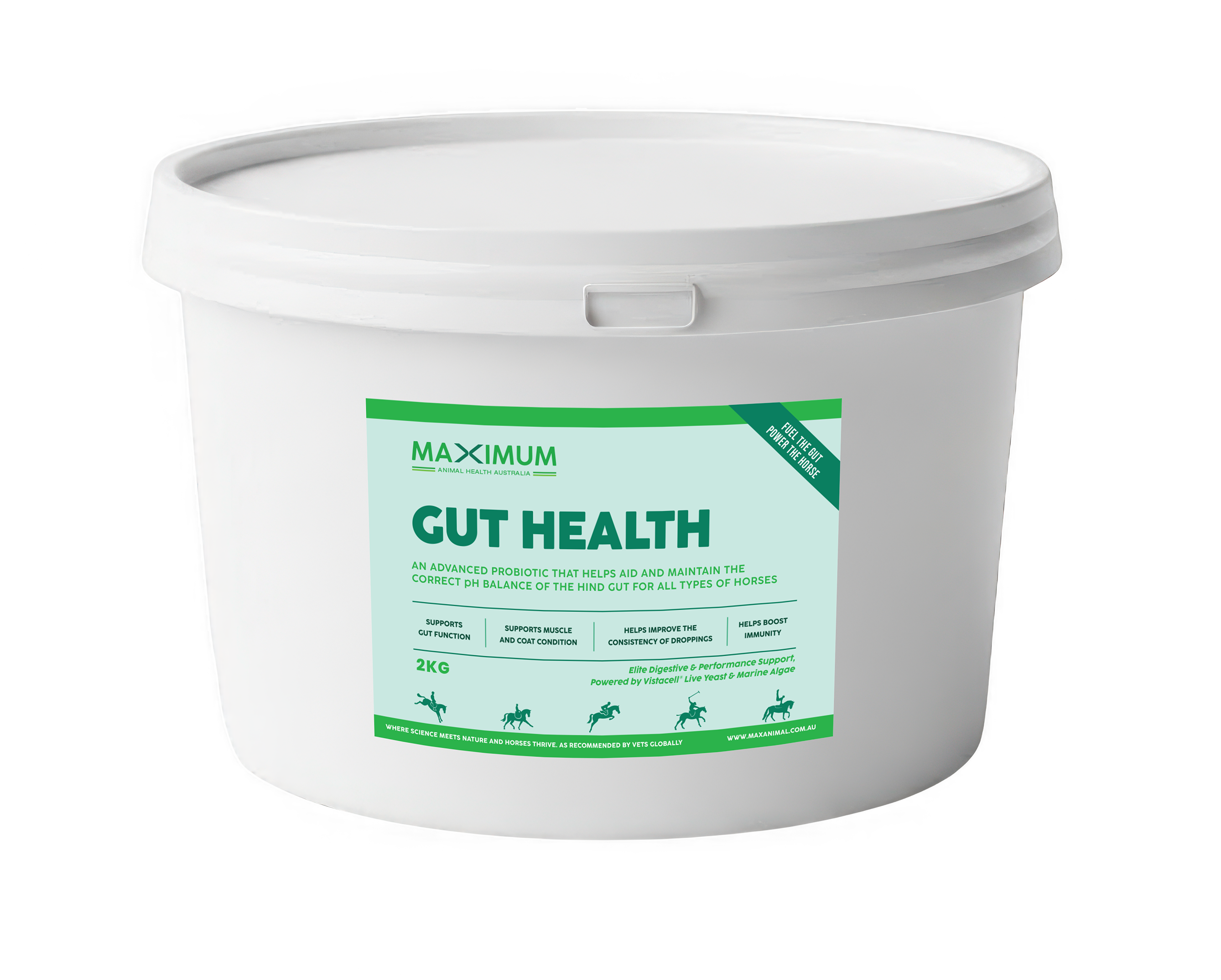 Maximum Gut Health