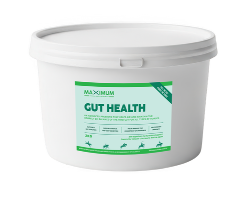 Maximum Gut Health