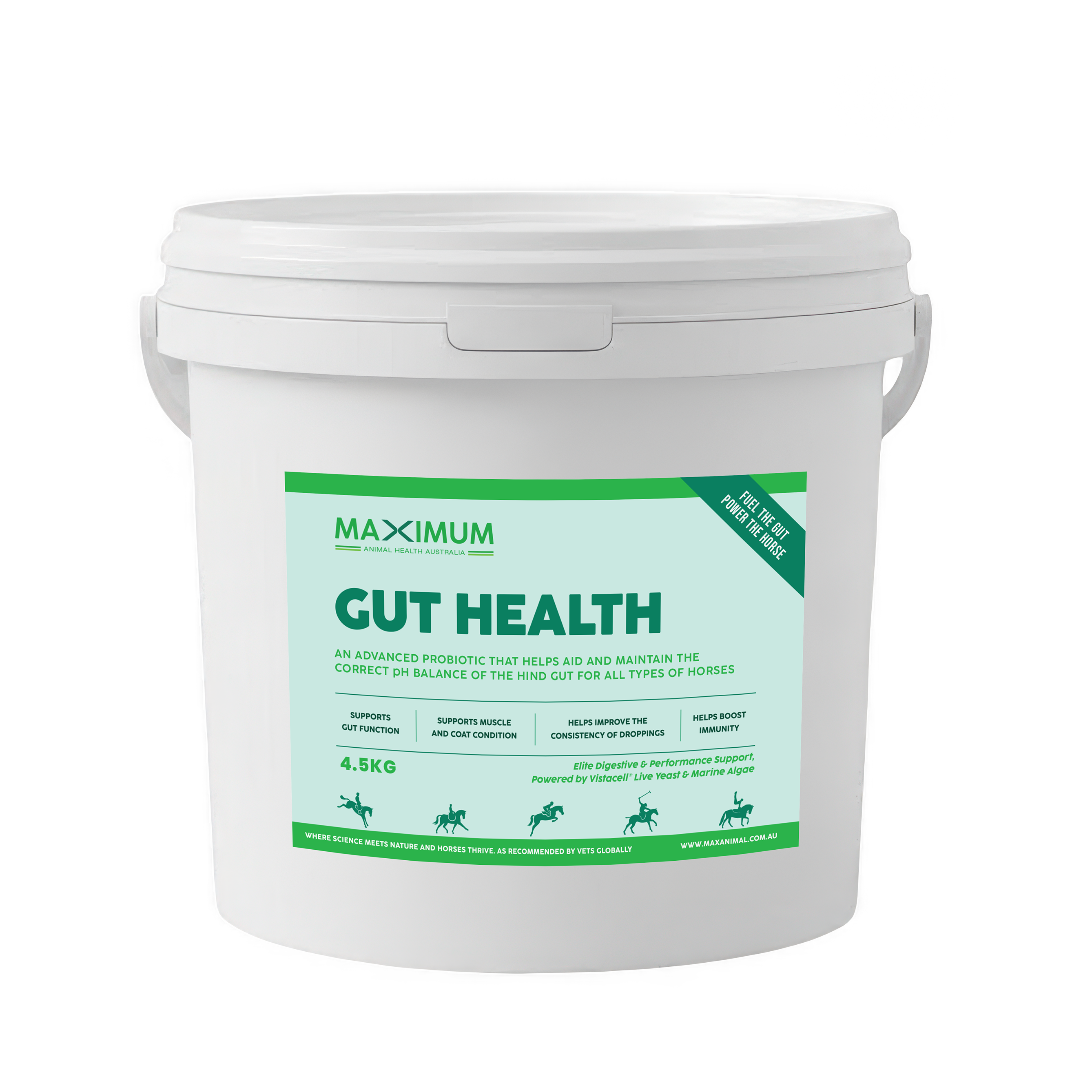 Maximum Gut Health